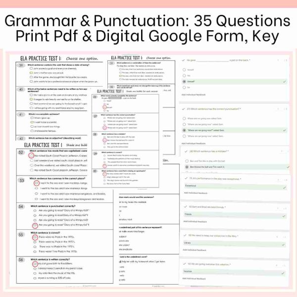 ELA Test Prep 1 Practice Test Language Arts Review Print & Digital